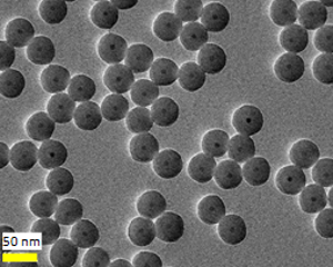 A SEM image of some metallic nanoparticles.